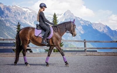 Kan Din Ridehjelm Blive For Gammel? Sådan Sikrer Du Din Sikkerhed Til Hest